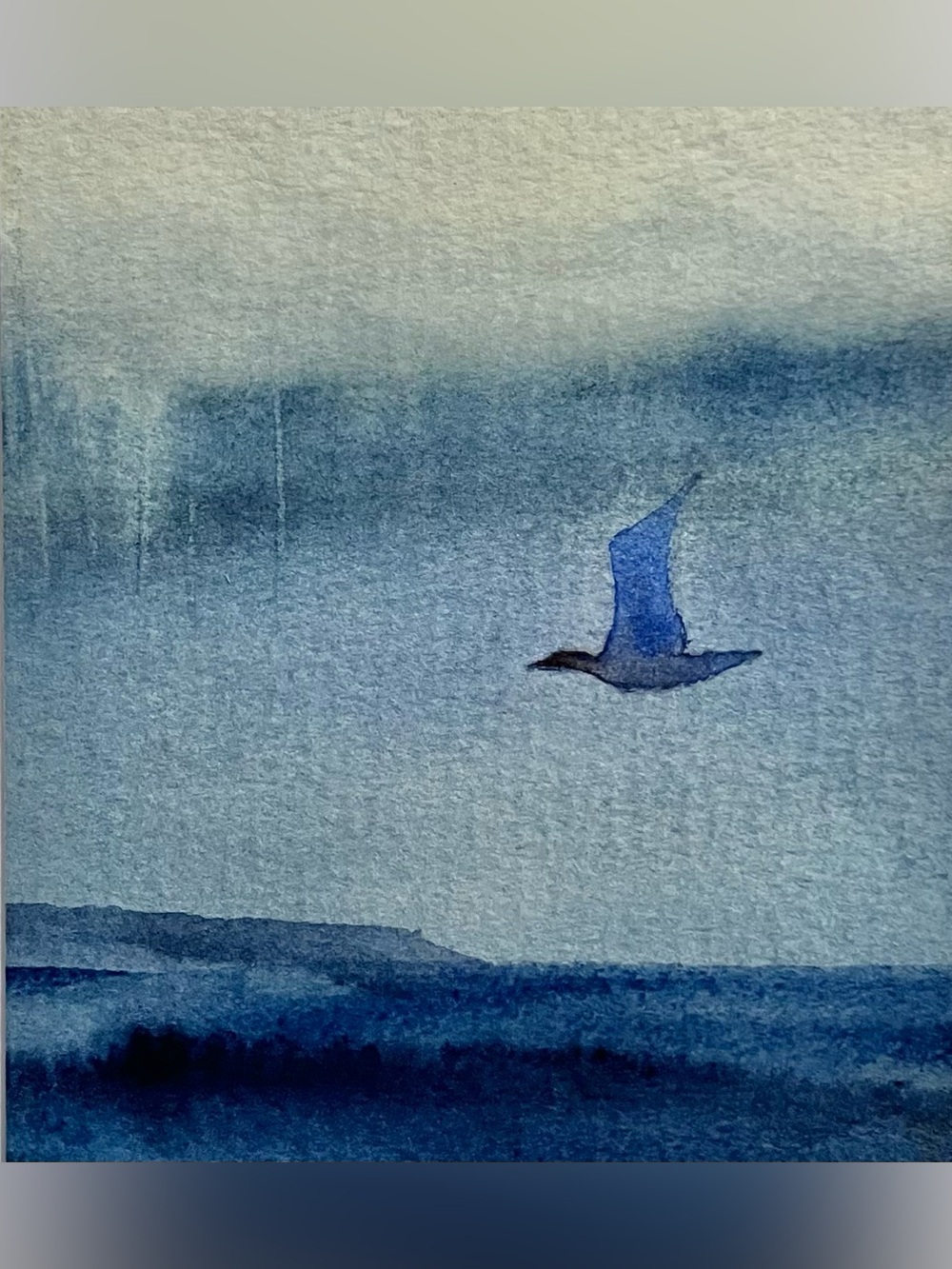 ORIGINAL WATERCOLOR by Allison Spreadborough / BIRD IN FLIGHT / 3.75 x 5.25 In.